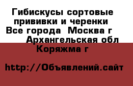 Гибискусы сортовые, прививки и черенки - Все города, Москва г.  »    . Архангельская обл.,Коряжма г.